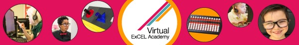 APH Virtual ExCel Academy logo banner
