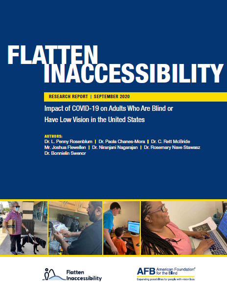 Flatten Inaccessibility report cover
