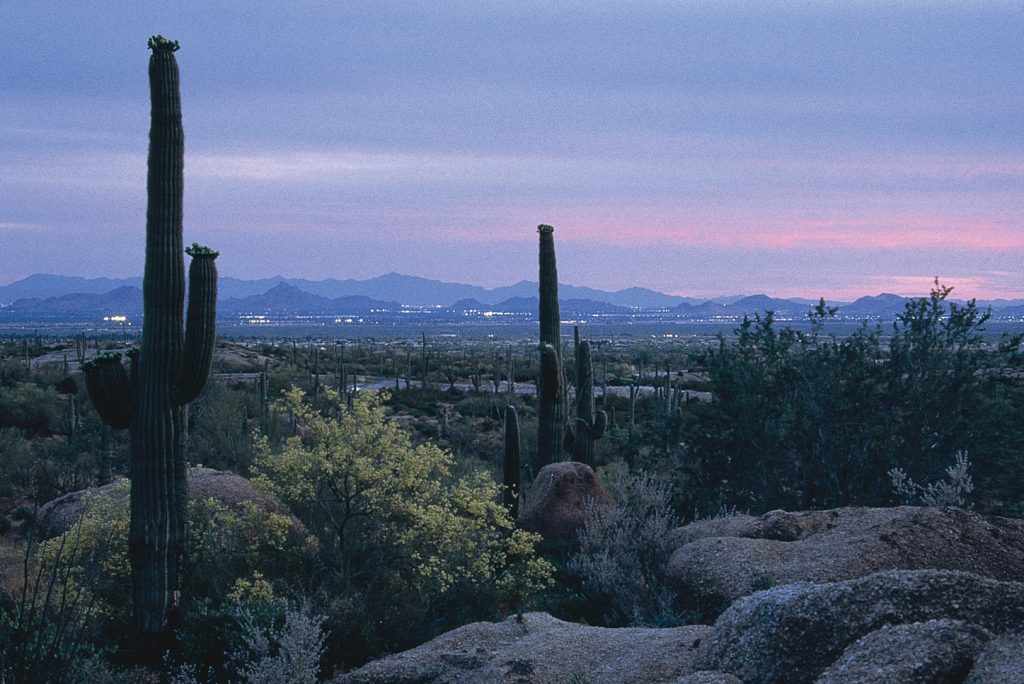 desert photo with cactus and mountains